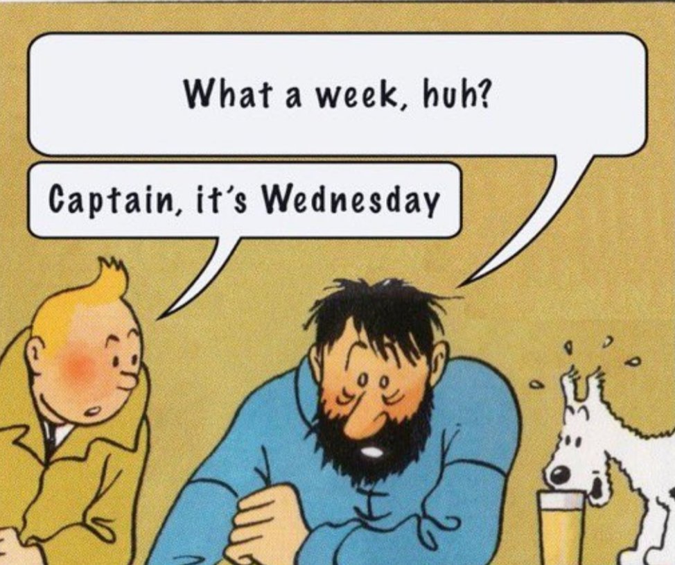 Adventures of Tintin panel. Captain Haddock asks, 'What a week, huh?'. To which Tintin replies, 'Captain, it's Wednesday.' while Snowy the dog attempts to drink some beer.